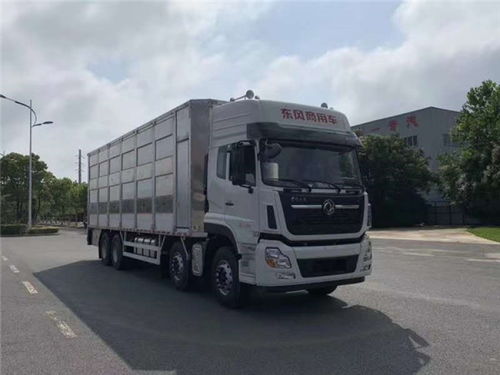 東風恒溫運豬車 嘉禾縣養(yǎng)殖戶的致富新選擇